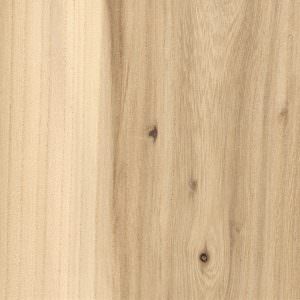 elm