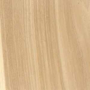 hickory
